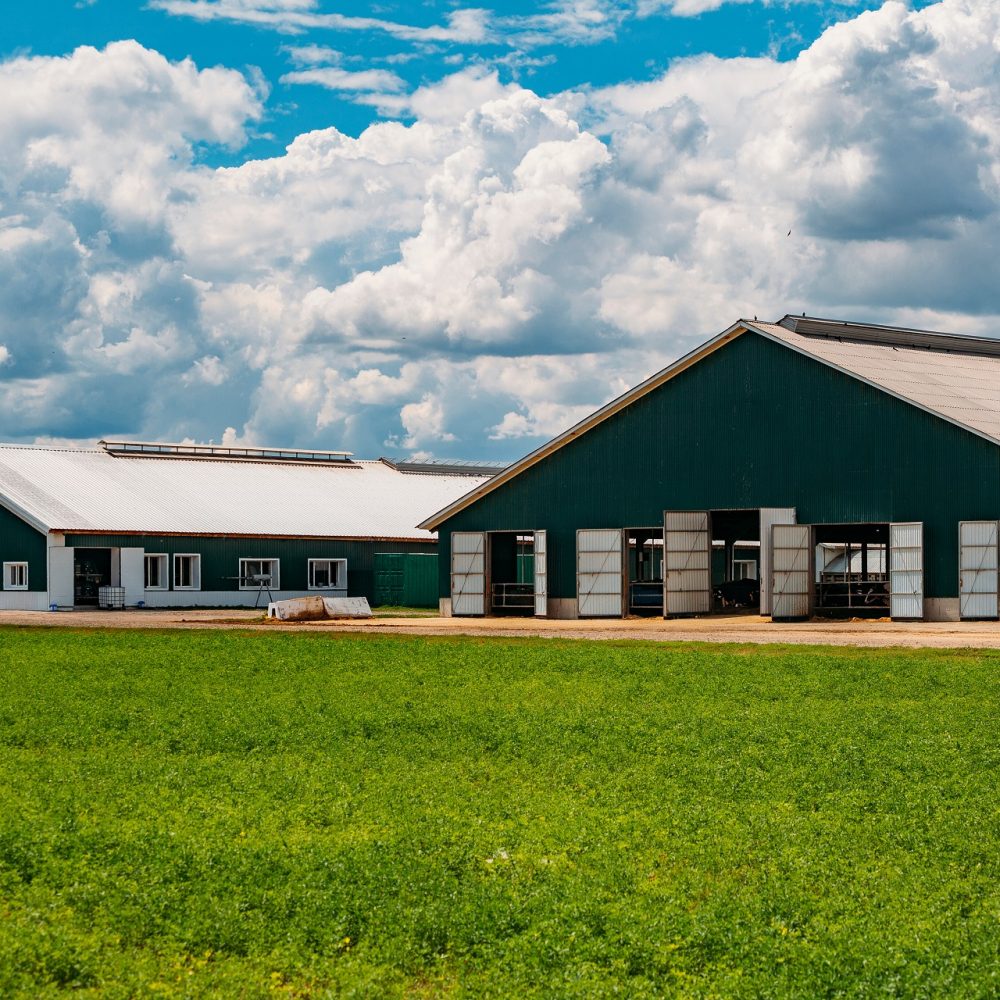 hale stalowe w rolnictwie